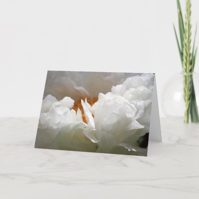 White Peony 2 Mother's Day Floral Photography Card (Front)
