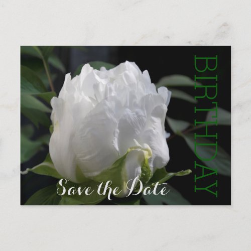 White Peony 35th Birthday Save the Date Postcard