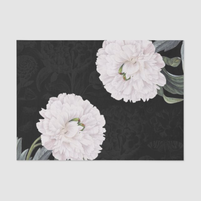 white peony black lace tissue paper (Front)