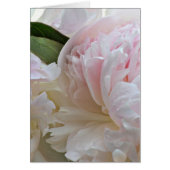 White peony card (Front)