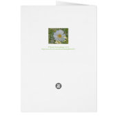 WHITE PEONY CARDS (Back)