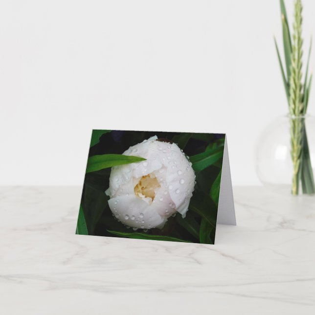 White Peony Fine Art Photography Folded Note Cards (Front)