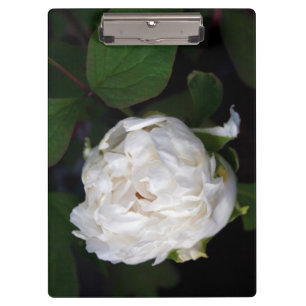White Peony Floral Photography Clipboard