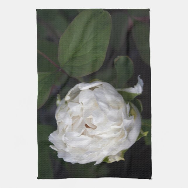 White Peony Floral Photography - Kitchen Towels (Vertical)