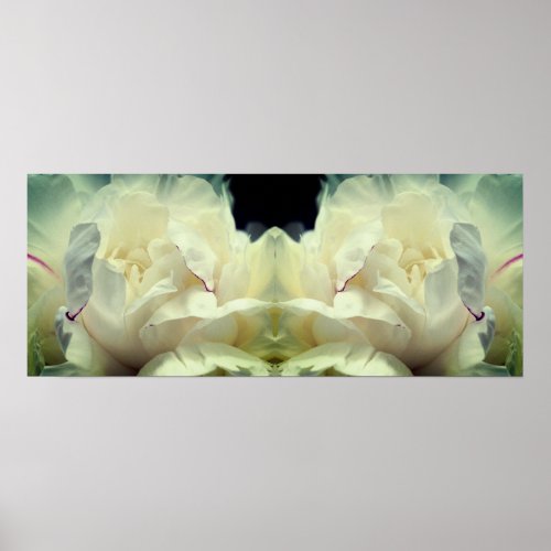 White Peony Flower In Bloom Mirror Abstract Poster