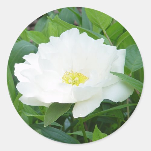 White Peony Flower Stickers