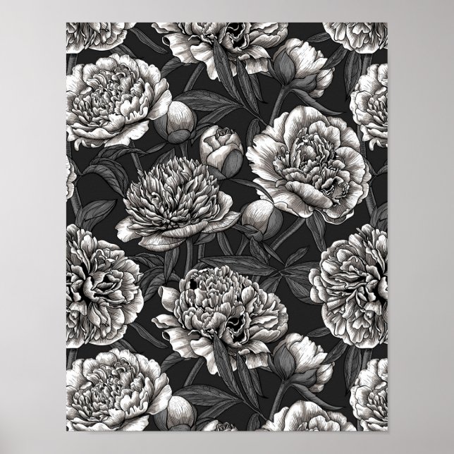 White peony flowers on dark gray poster (Front)