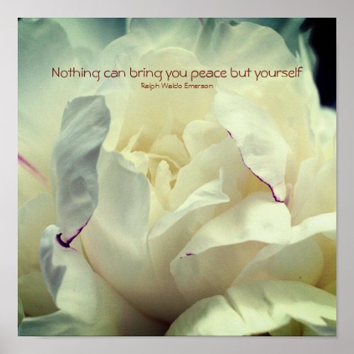 White Peony Inner Peace Inspirational  Poster