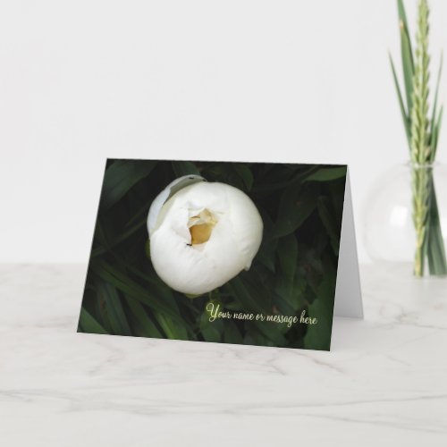 White Peony Notecards