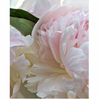 White peony photo sculpture