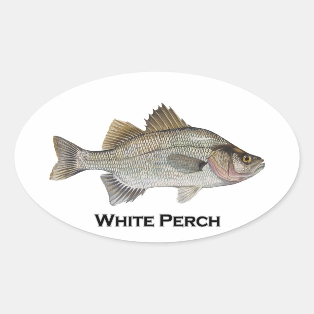 White Perch Oval Sticker (Front)