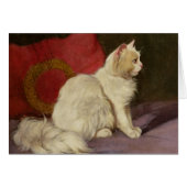 White Persian Cat (Front Horizontal)