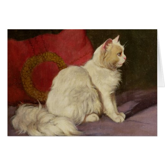 White Persian Cat Cards (Front Horizontal)