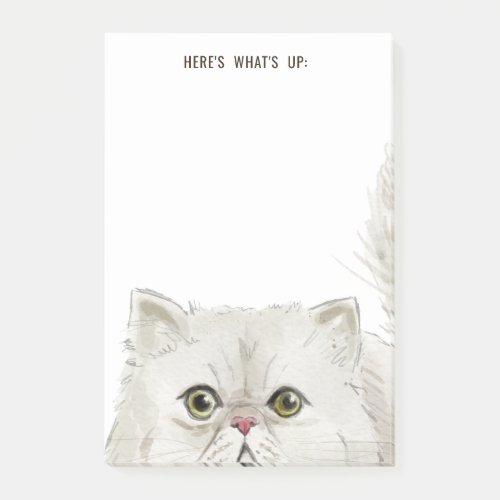White Persian Cat  Heres Whats Up or Your Text Post_it Notes