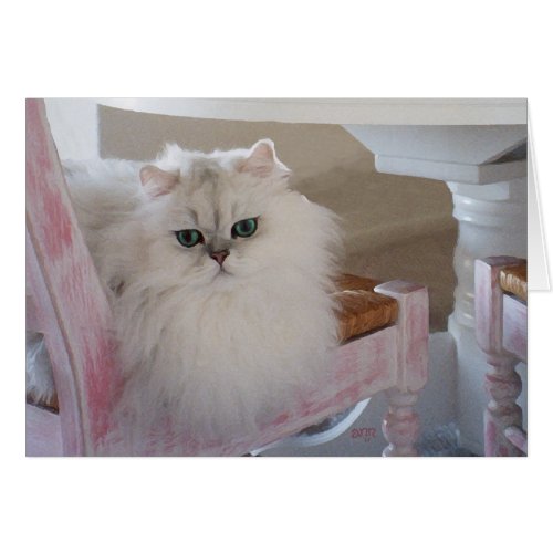 White Persian Cat on a Pink Chair