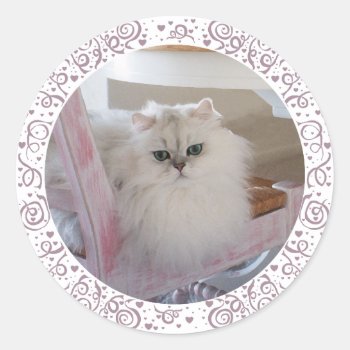 White Persian Cat On A Pink Chair Classic Round Sticker by MaggieRossCats at Zazzle