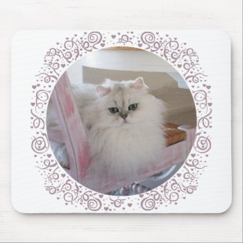 White Persian Cat On A Pink Chair Mouse Pad by MaggieRossCats at Zazzle