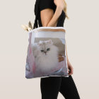 White Persian Cat on a Pink Chair