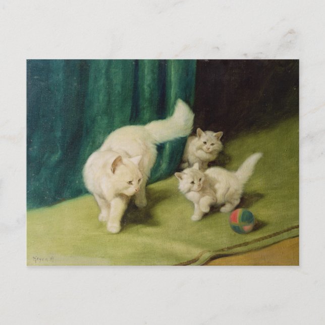 White Persian Cat with Two Kittens Postcard (Front)