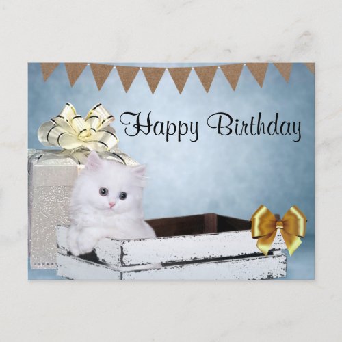 White Persian kitten Birthday Postcard