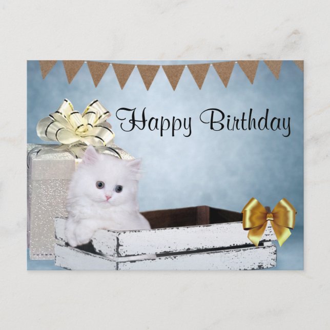 White Persian kitten Birthday Postcard (Front)