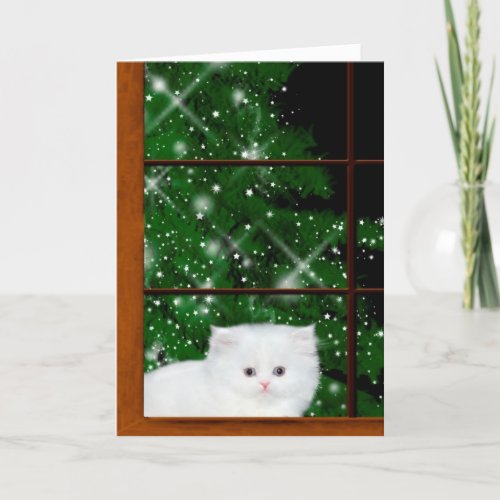 White persian kitten Christmas Holiday Card