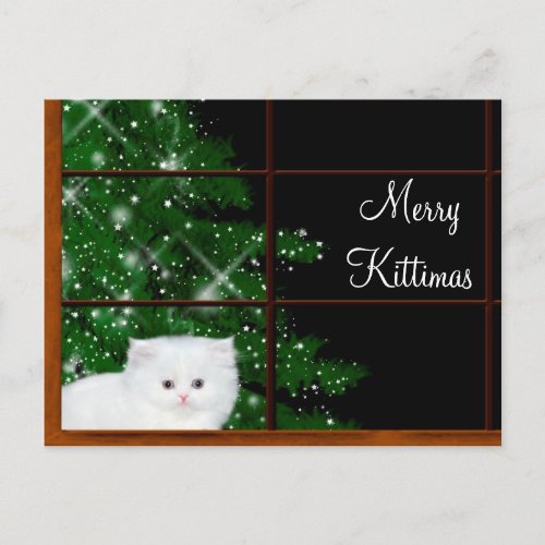 White persian kitten Christmas Holiday Postcard