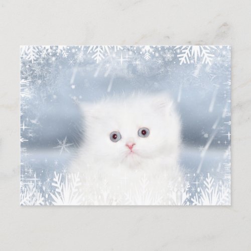 White persian kitten Christmas Holiday Postcard