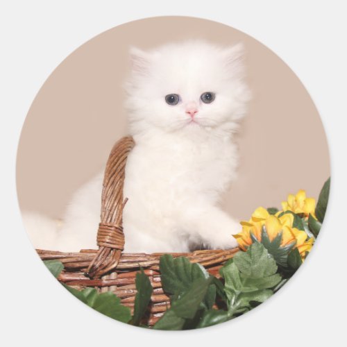 White persian kitten classic round sticker