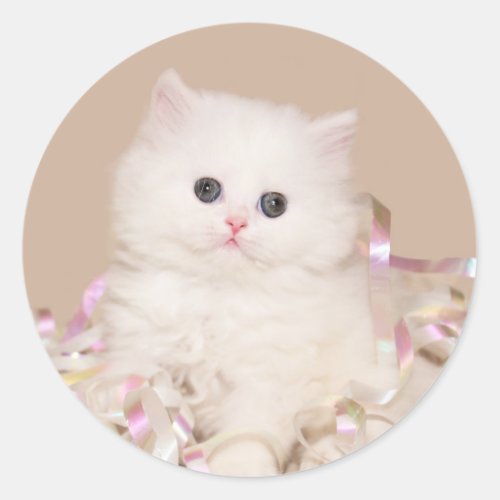 White persian kitten classic round sticker