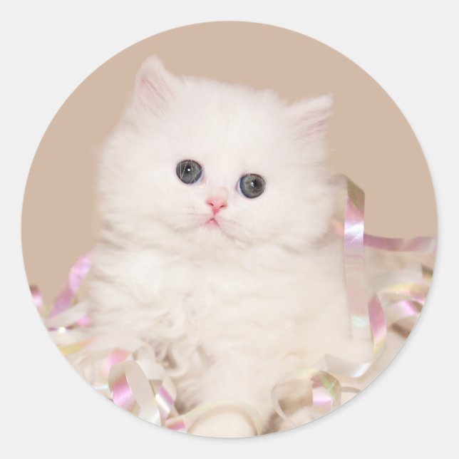 White persian kitten classic round sticker (Front)