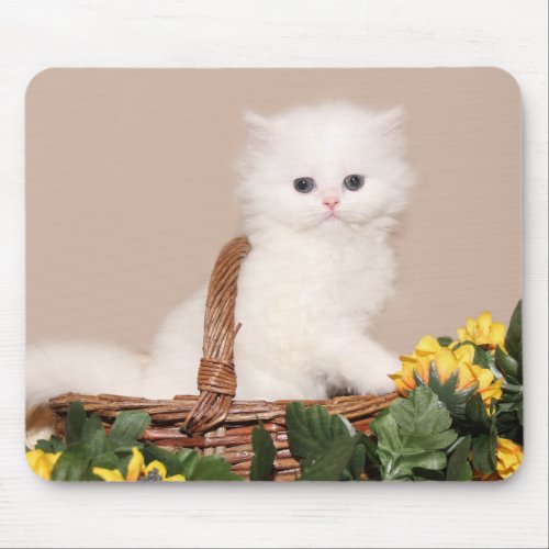 White persian kitten cutie mouse pad