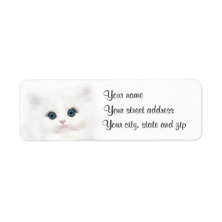 White persian kitten face label