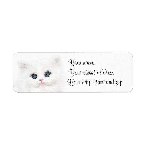 White persian kitten face label