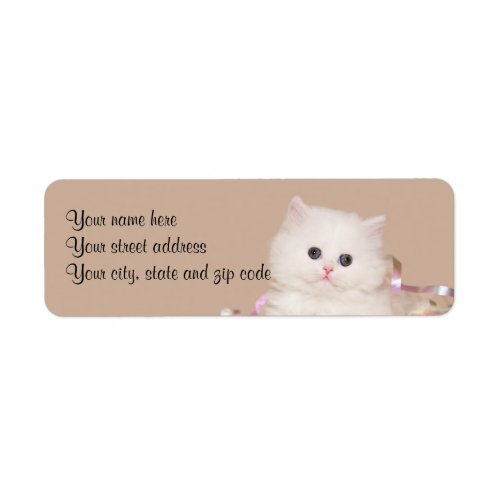 White Persian kitten Label