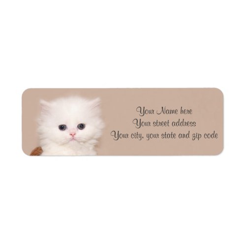 White persian kitten label