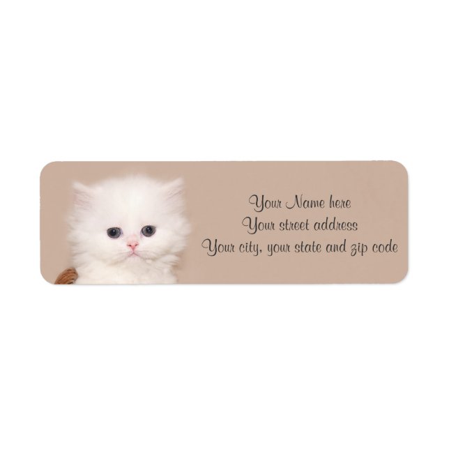 White persian kitten label (Front)