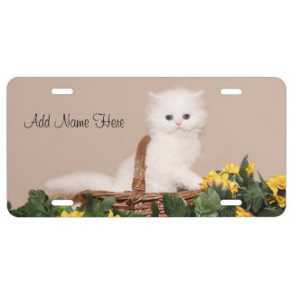 White persian kitten license plate