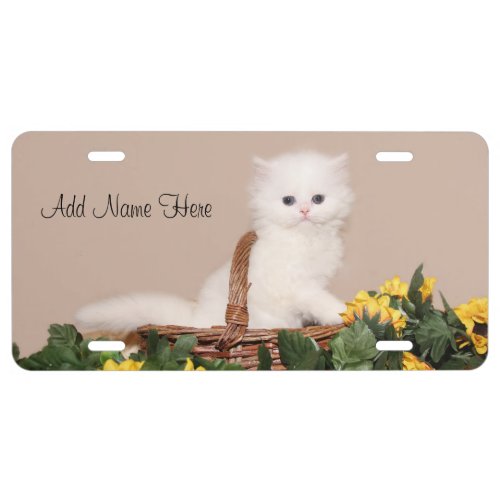 White persian kitten license plate