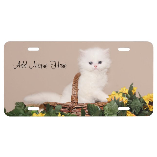 White persian kitten license plate (Front)