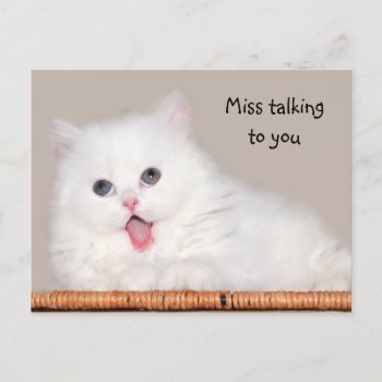 White Persian Kitten Misses You Postcard by deemac1 at Zazzle