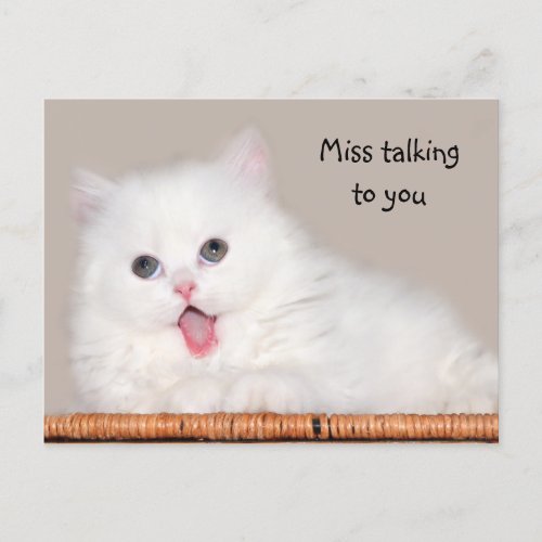 White persian kitten misses you postcard