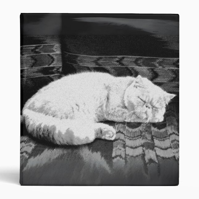 White Persian Sleeping Cat 3 Ring Binder (Front)