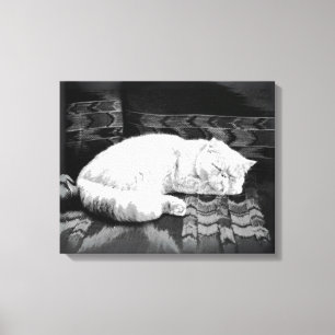 White Persian Sleeping Cat Canvas Print