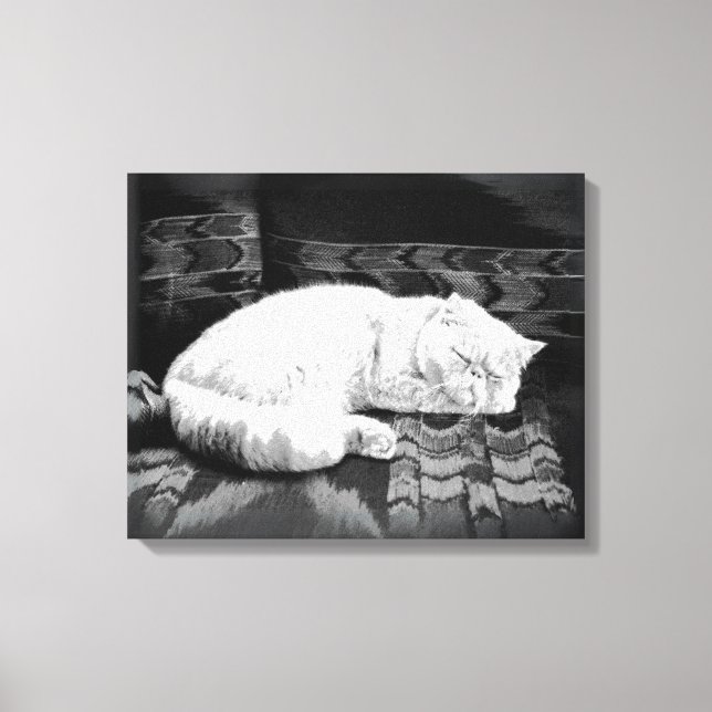 White Persian Sleeping Cat Canvas Print (Front)