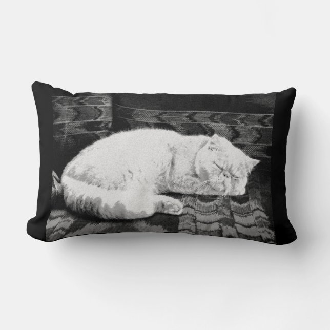 White Persian Sleeping Cat Lumbar Pillow (Front)