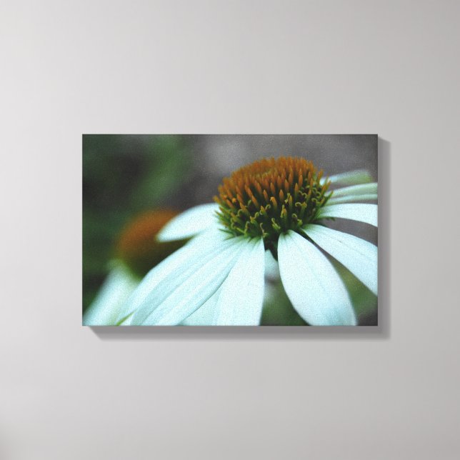 White Petals, Flower (canvas print) Canvas Print (Front)