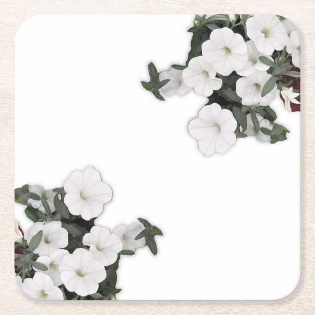 White Petunia Coasters (Front)