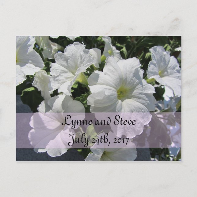 White Petunia Save the Date Announcement Postcard (Front)