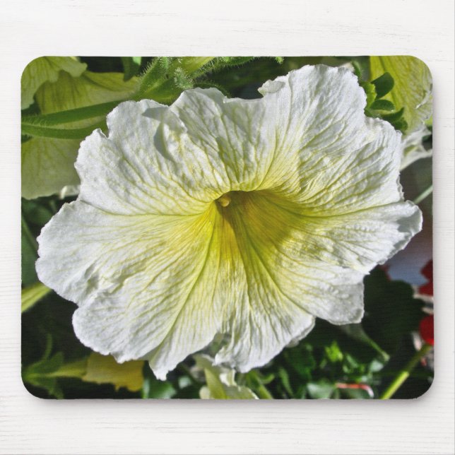 White Petunia Series Coordinating Items Mouse Pad (Front)